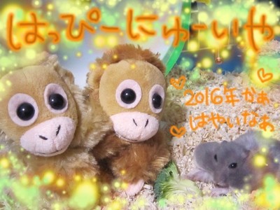 ハムスター迎春2016-2.JPG