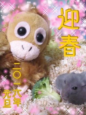 ハムスター迎春2016.JPG