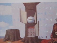 丸い物体.JPG