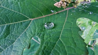 雨粒ダイヤ2.jpg