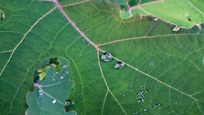 雨粒ダイヤ3.jpg